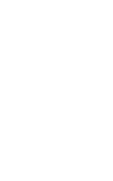 Orléans Loiret Basket